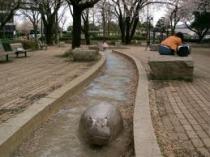 国立市役所公園